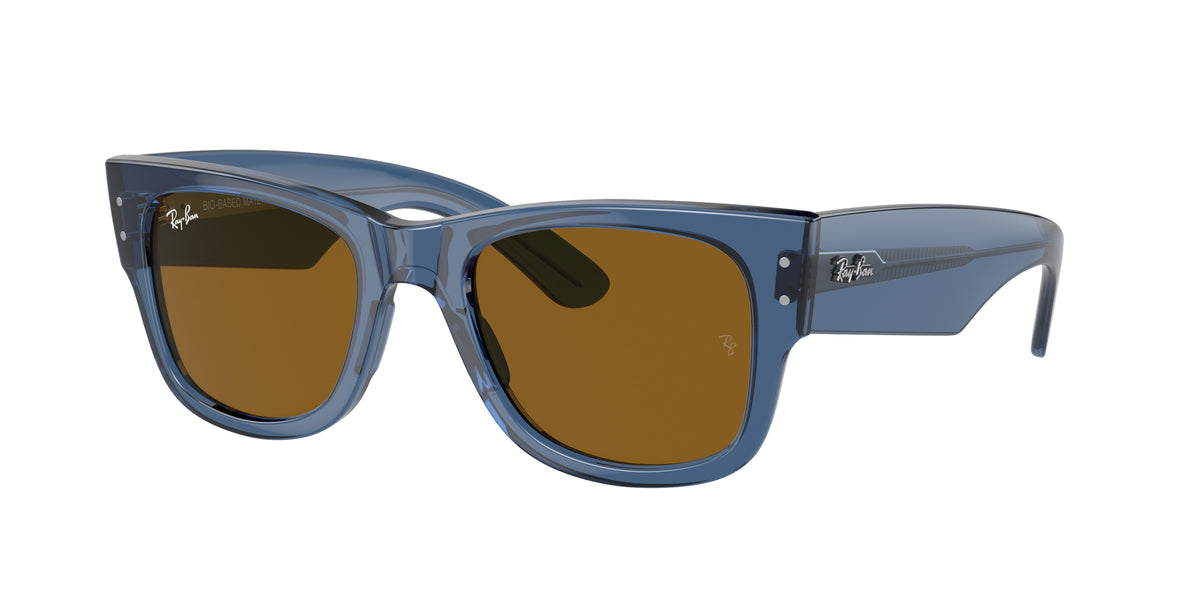 Ray-Ban 0RB0840S 668073 – Transparent Bleu
