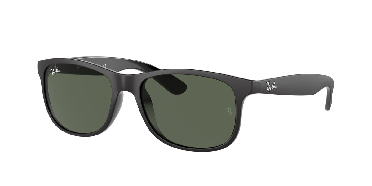 Ray-Ban RB4202 – Noir 6069/71