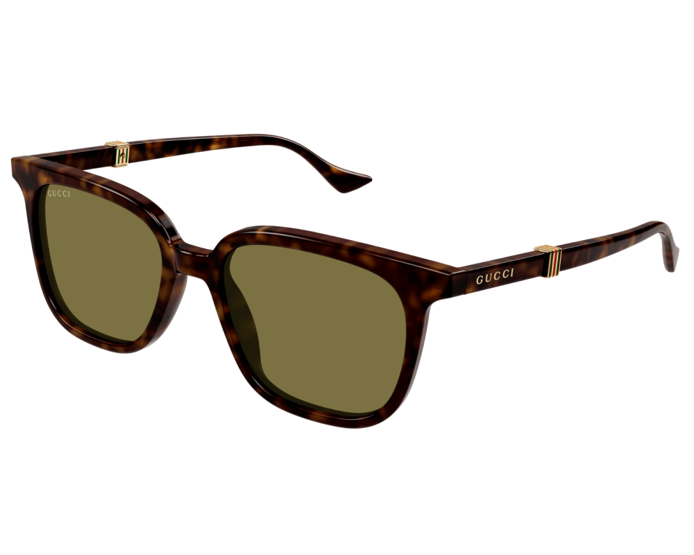 Gucci GG1493S