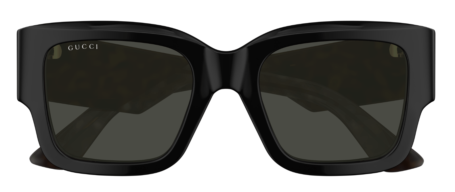 GG1663S - additional view