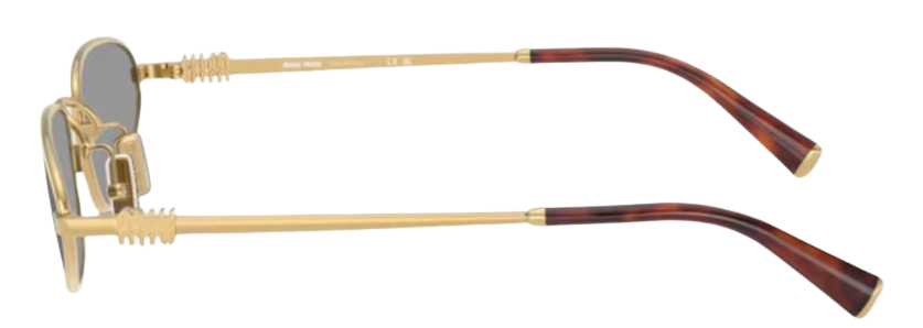Miu Miu A52S - vue supplementaire