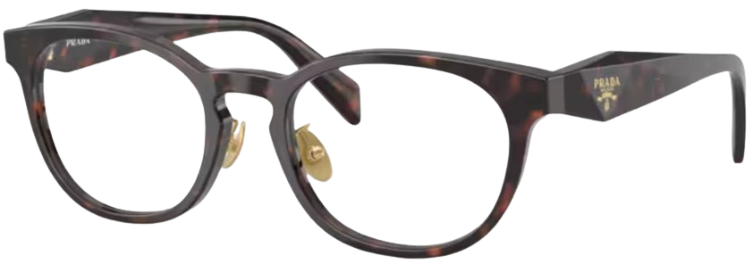 Prada PR B06VD - Ecaille de tortue racine
