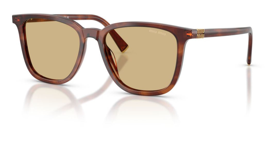 Miu Miu MU B03S - Rayures Tabac (26E10R)