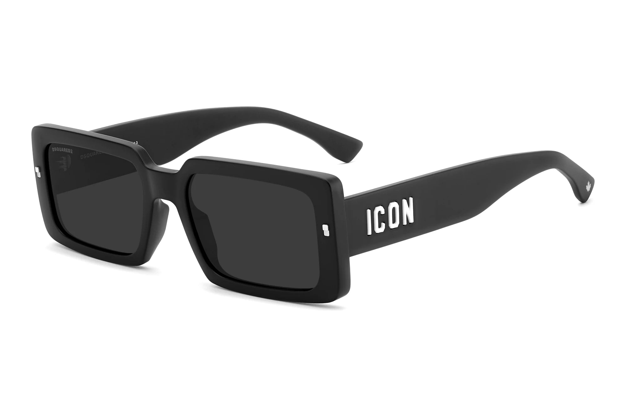 DSQUARED2 ICON 0029/S 20878000355IR