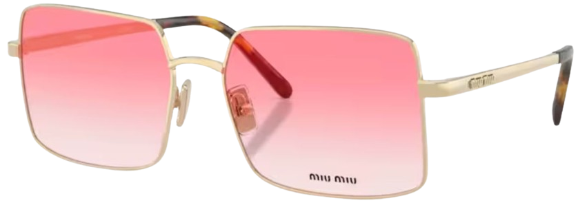 ZVN81E