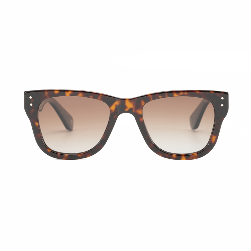 Lunettes de soleil Andy Brook Chase Polarized