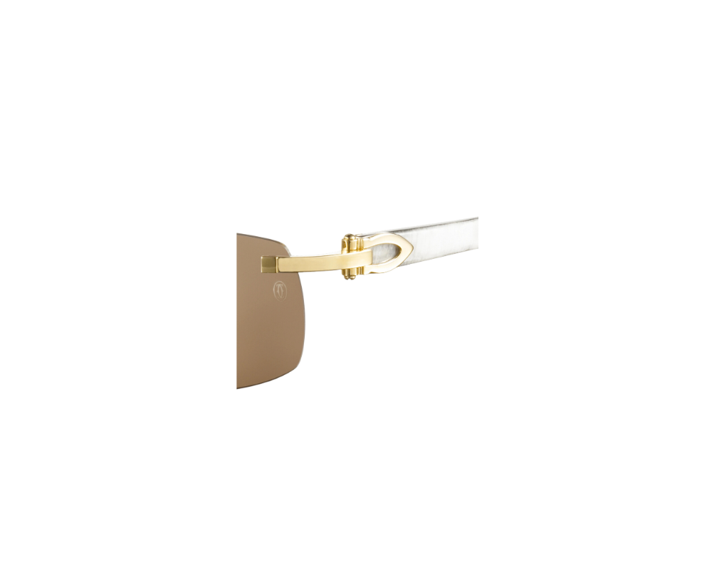Cartier CT0046S