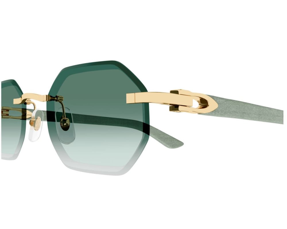 Cartier CT0439S Vert