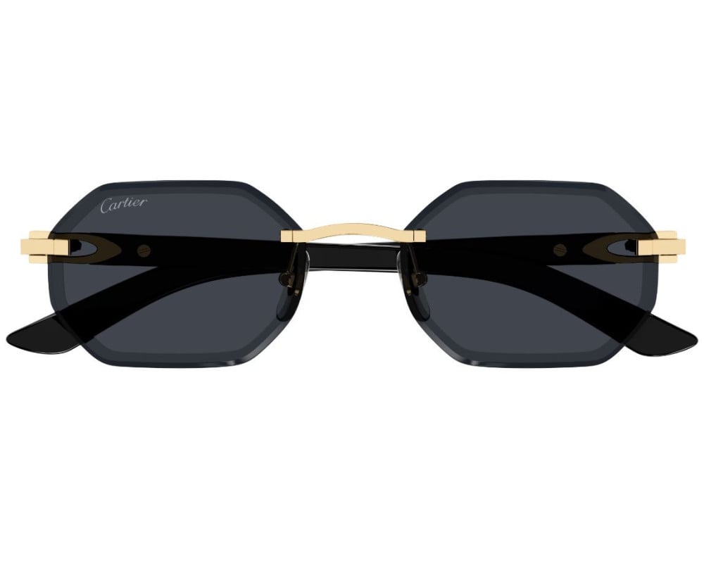 Cartier CT0439S Noir