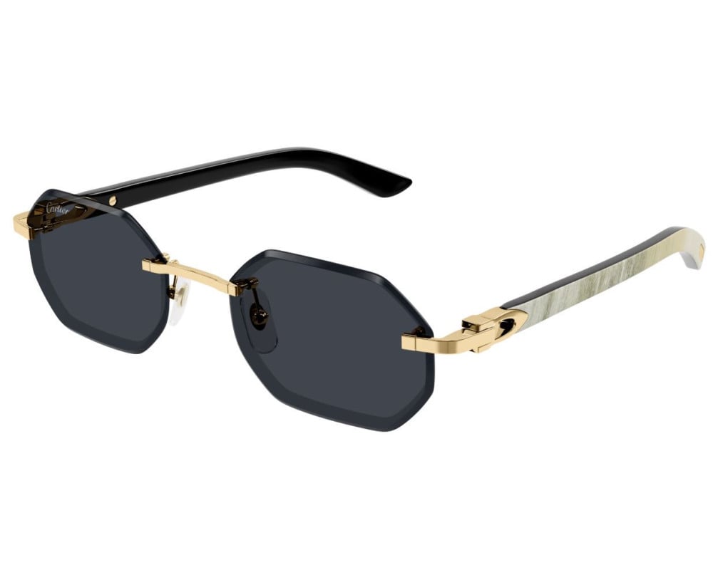 Cartier CT0439S Blanc