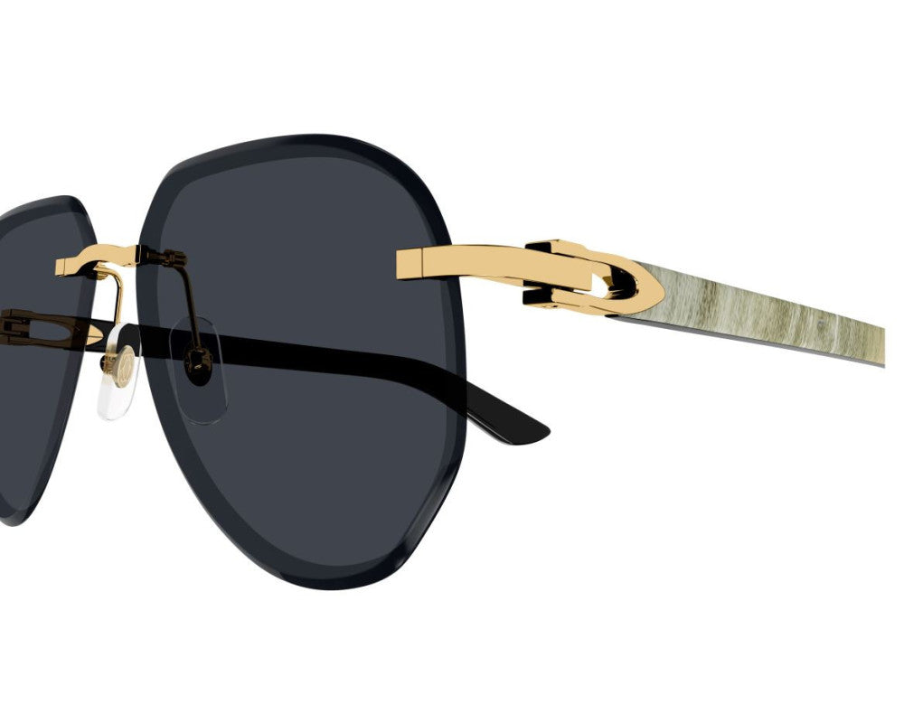 Cartier CT0440S