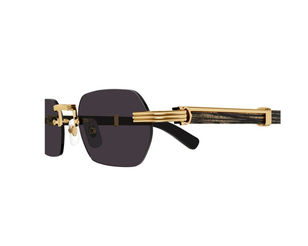 Cartier CT0362S