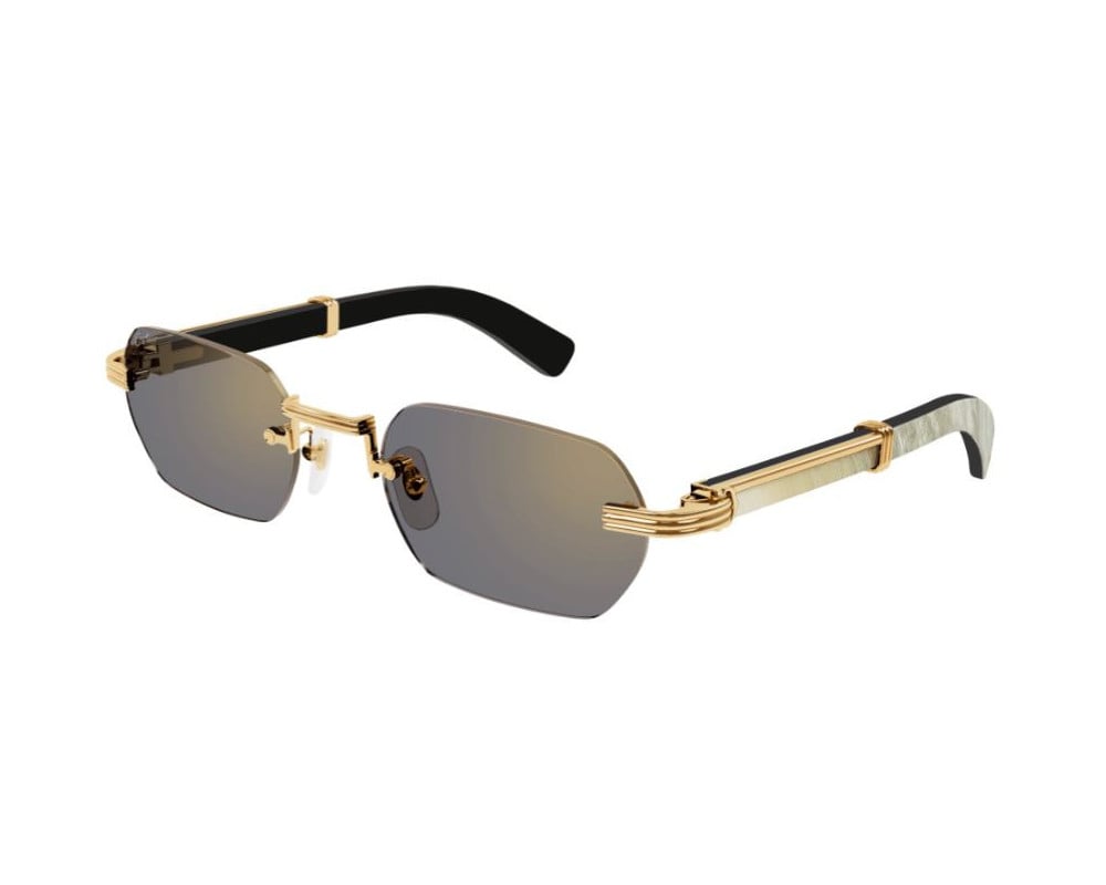 Cartier CT0362S