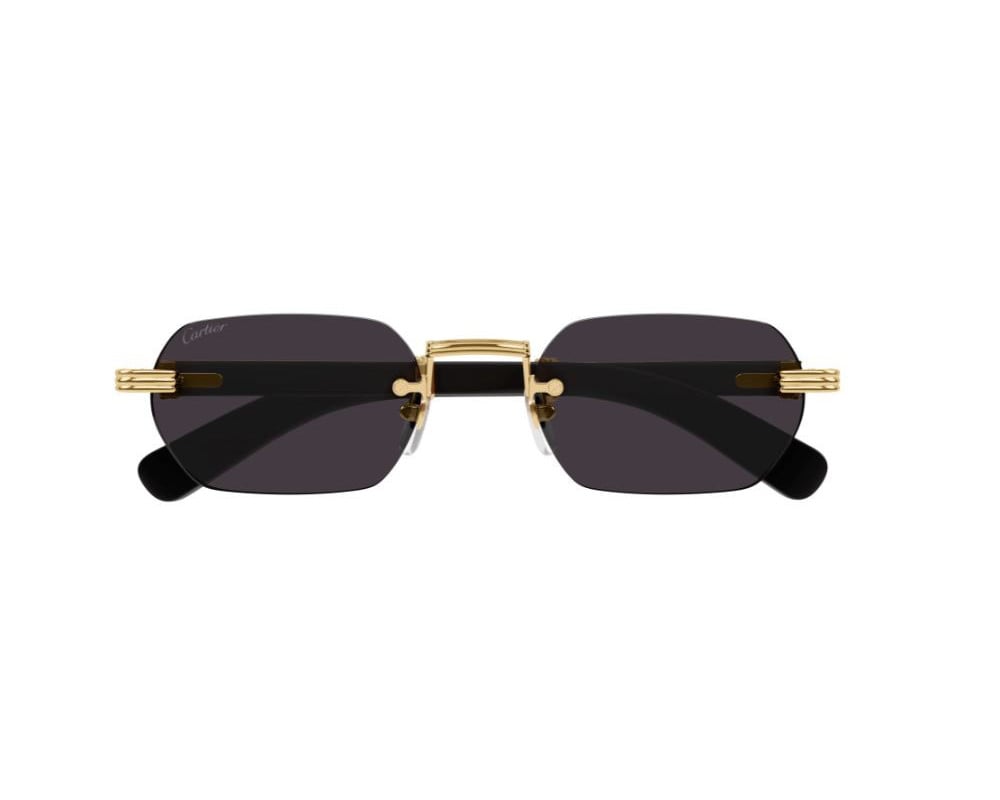 Cartier CT0362S