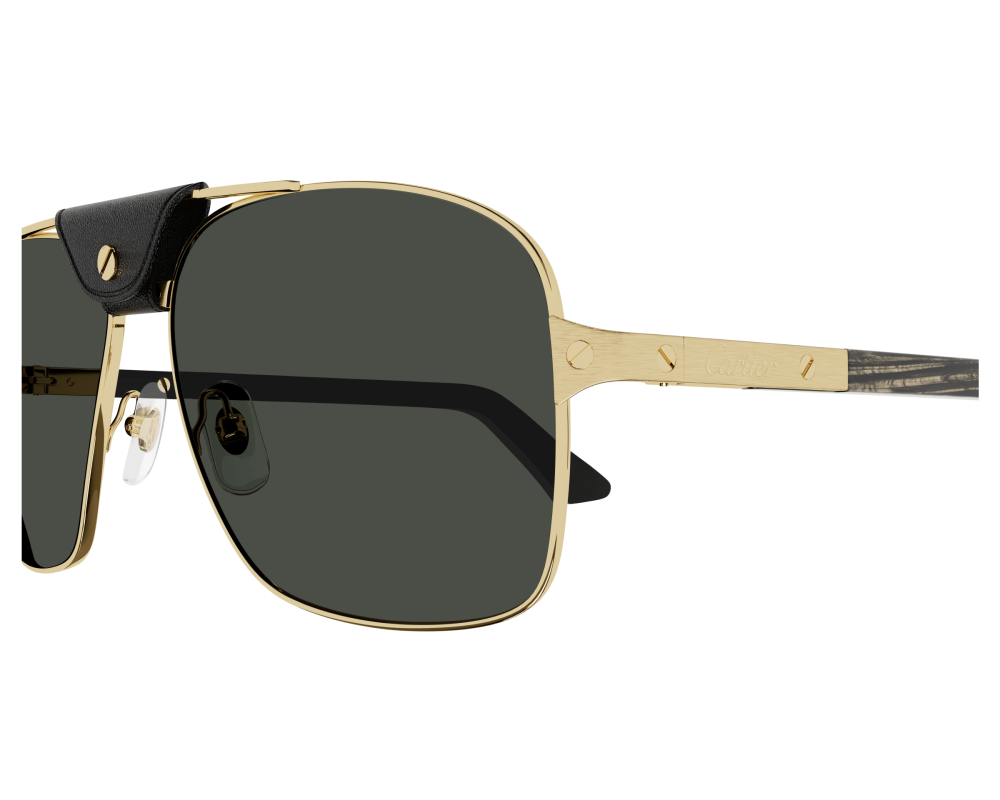 Cartier CT0389S