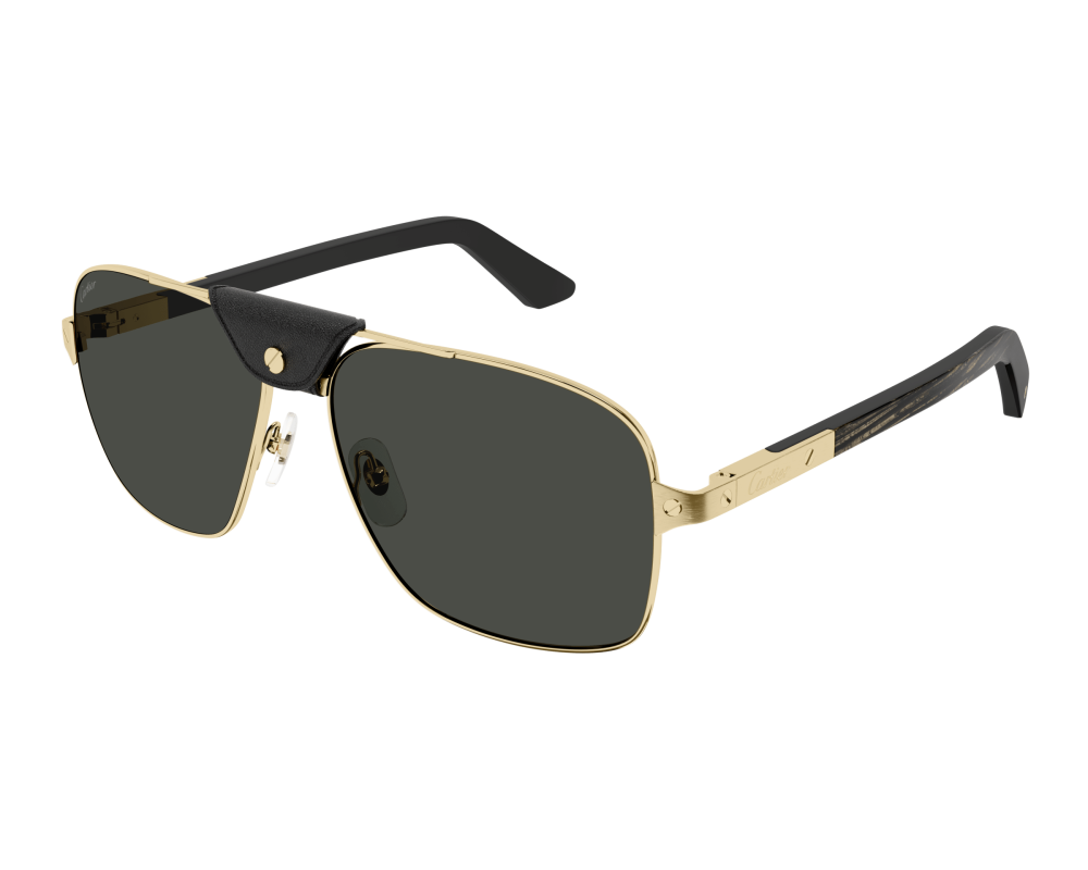 Cartier CT0389S