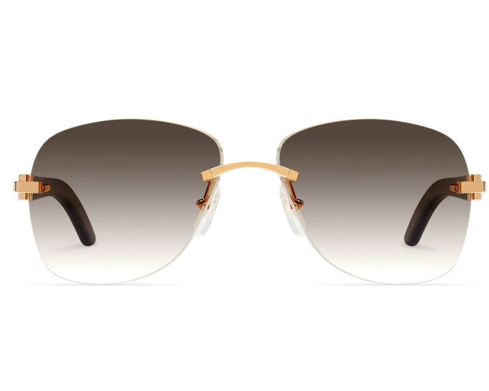 Cartier CT0014RS