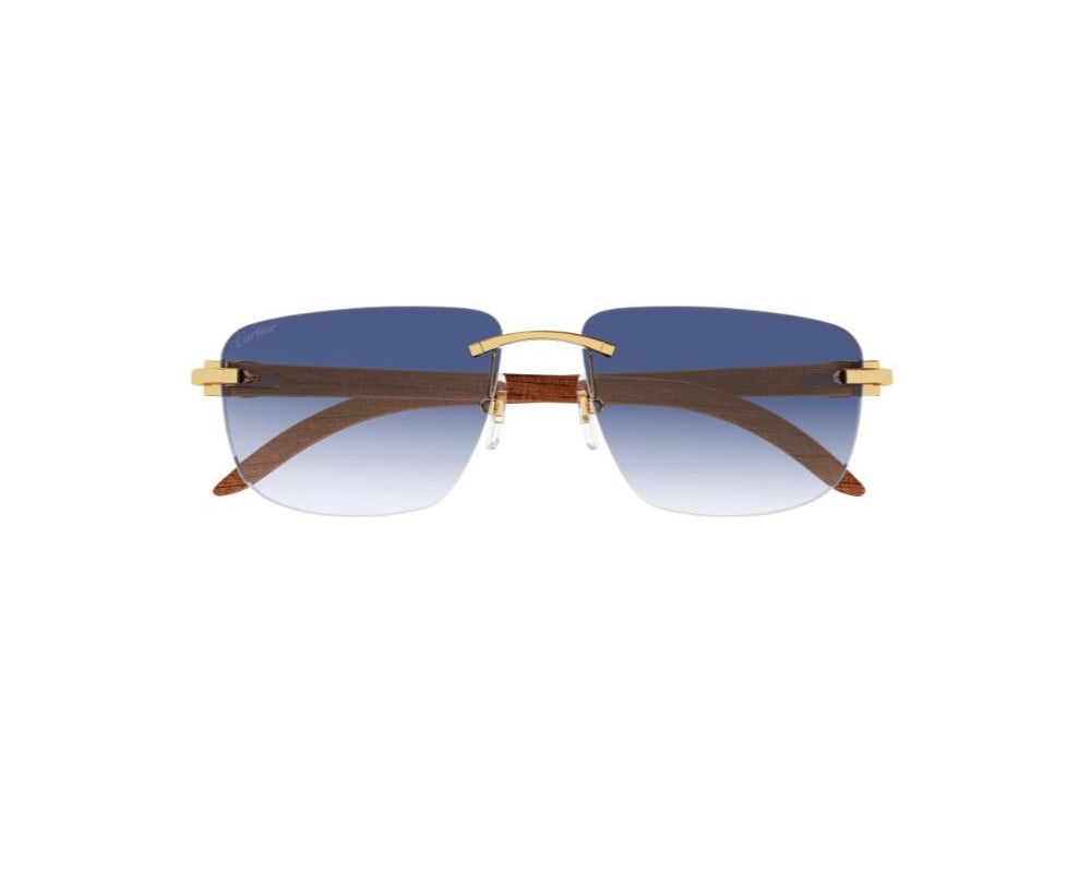 Cartier CT0040RS