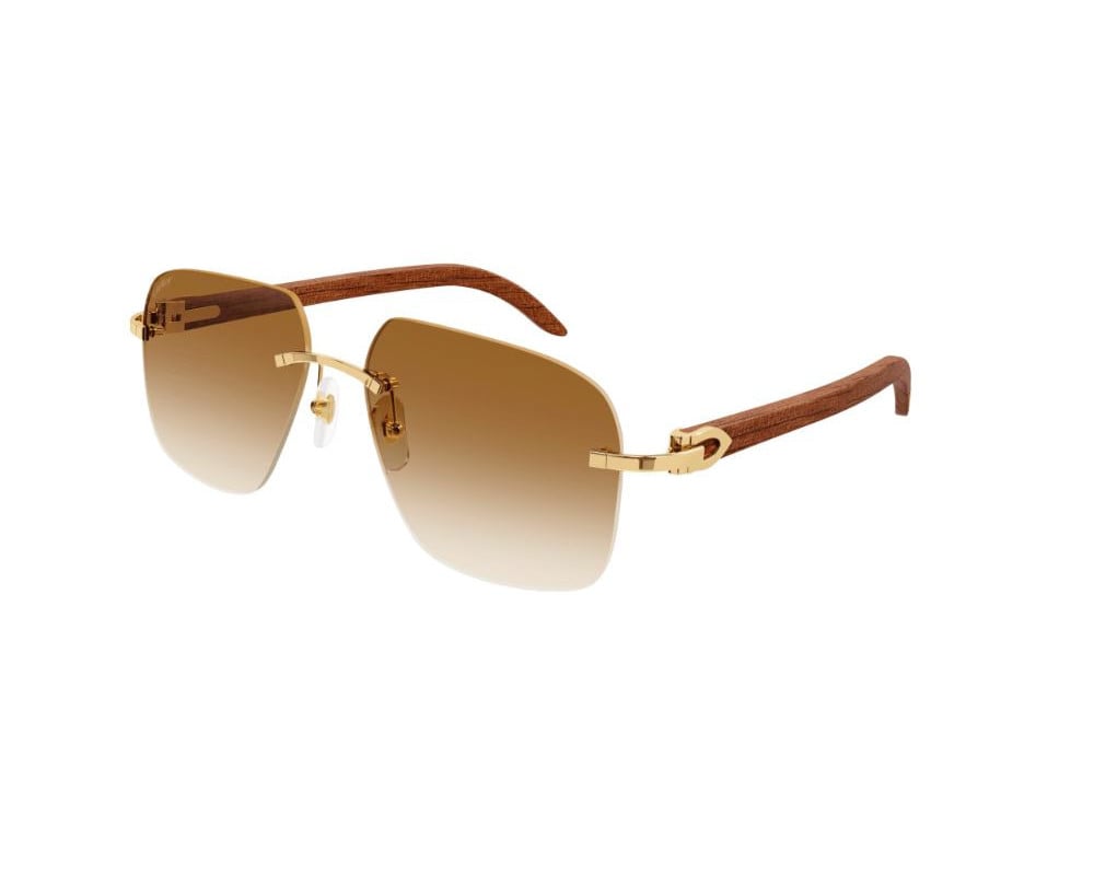 Cartier CT0041RS