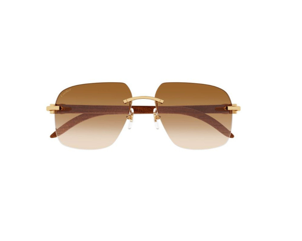 Cartier CT0041RS