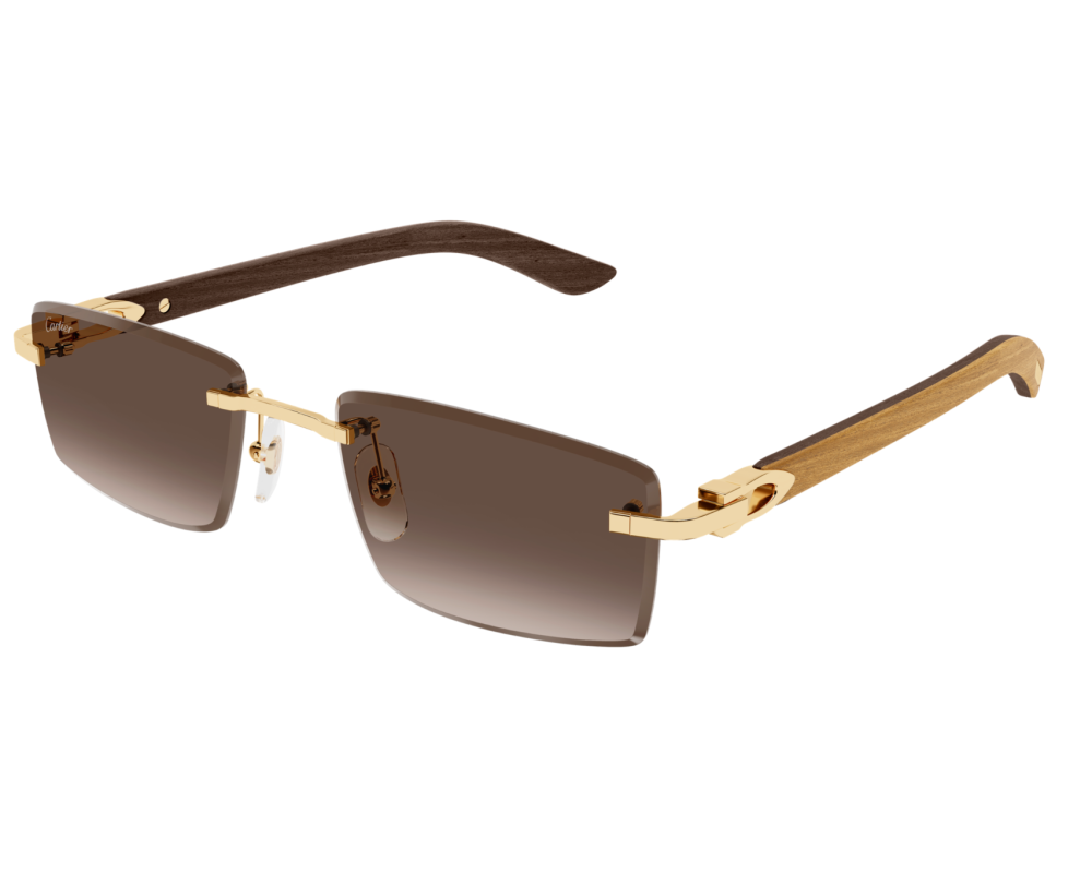 Cartier CT0582S