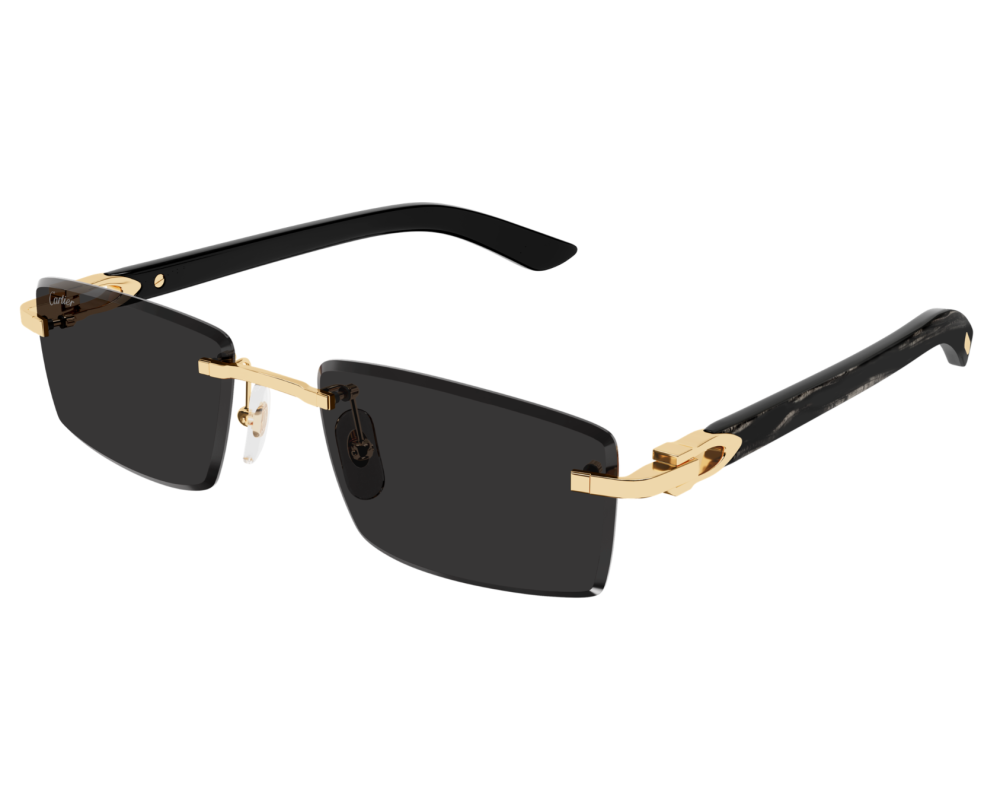 Cartier CT0582S