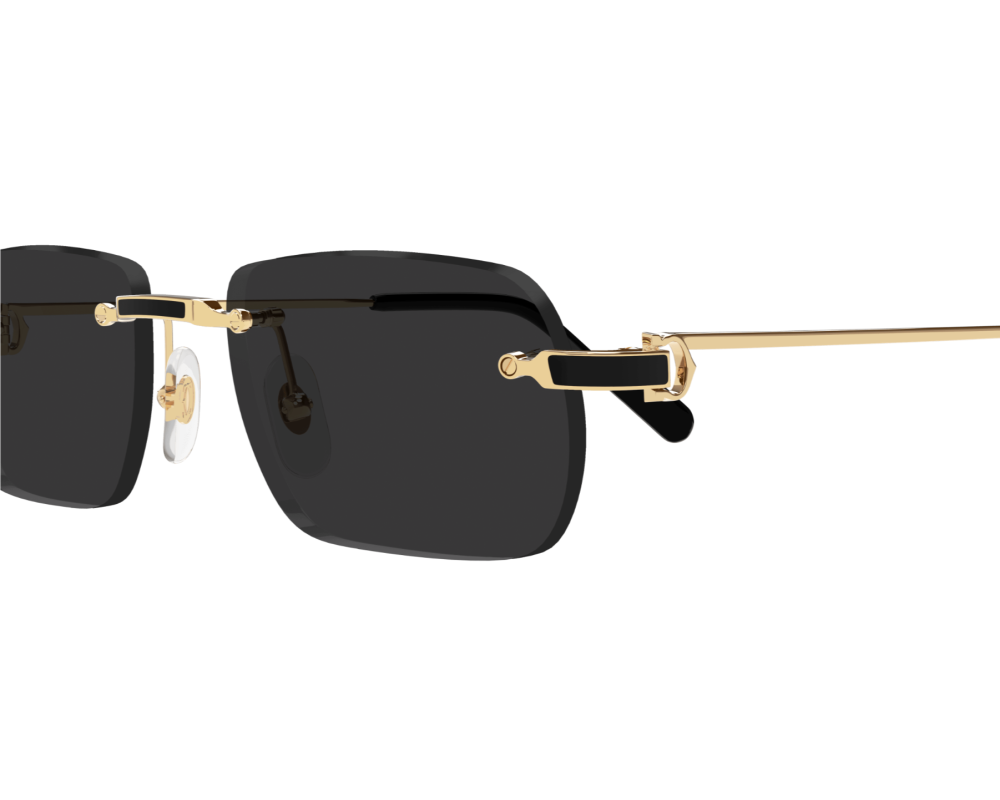 Cartier CT0498S