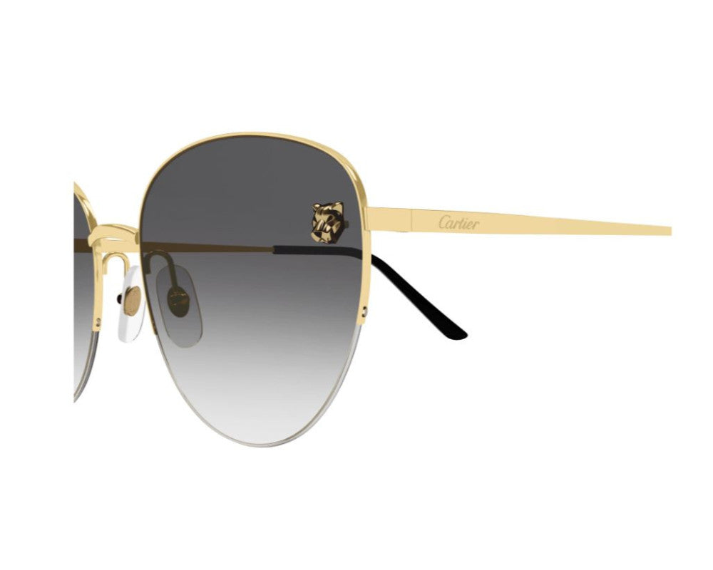 Cartier CT0301S