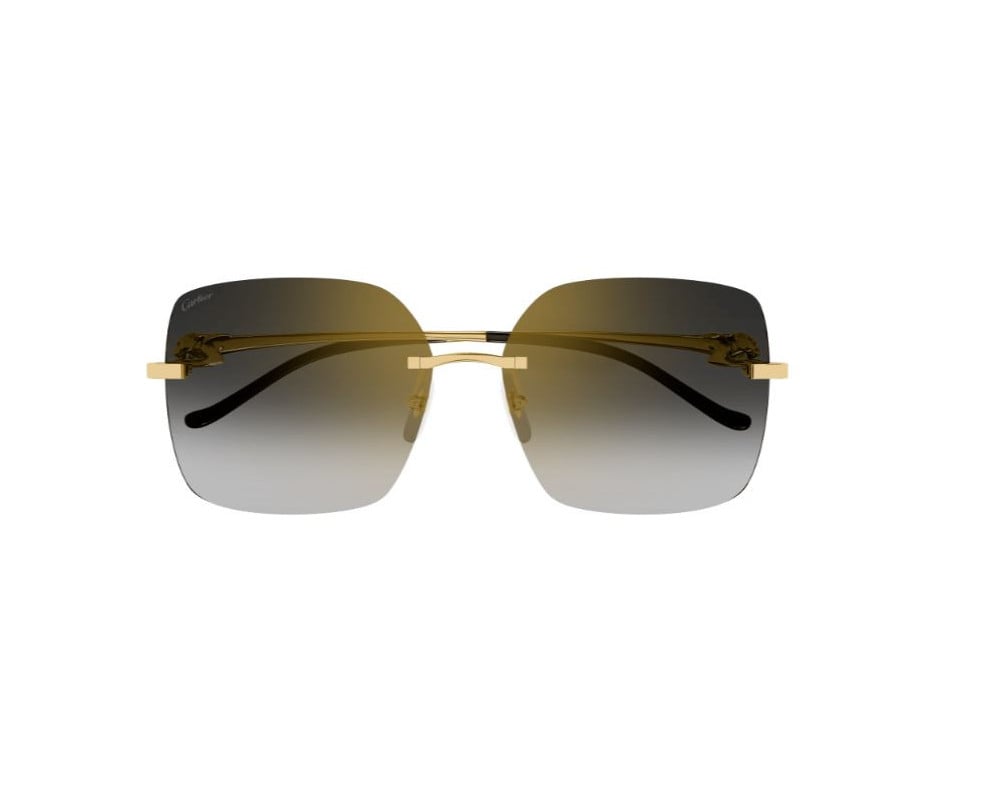 Cartier CT0359S