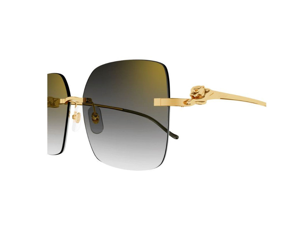 Cartier CT0359S