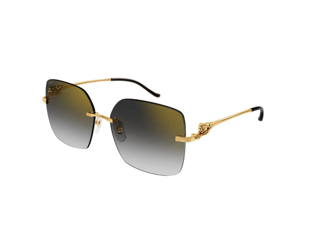 Cartier CT0359S