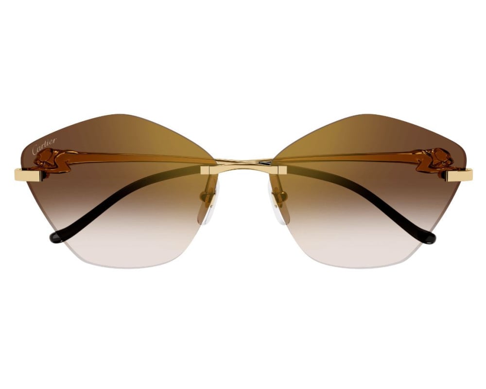 Cartier CT0429S