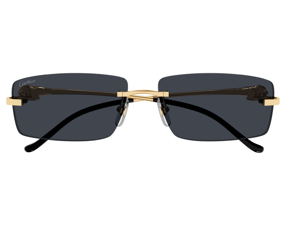 Cartier CT0430S