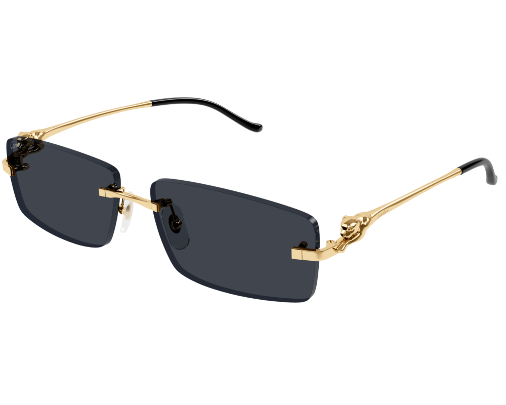 Cartier CT0430S