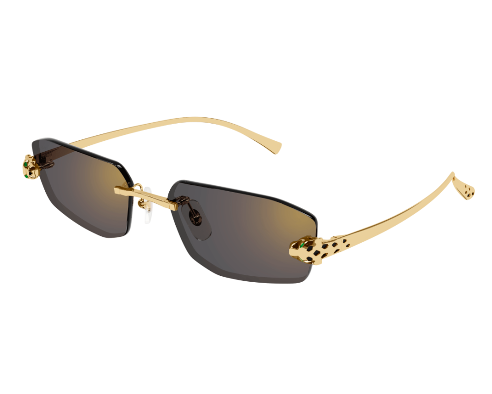 Cartier CT0474S