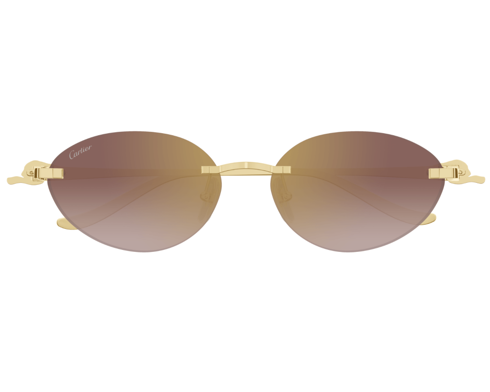 Cartier CT0504S