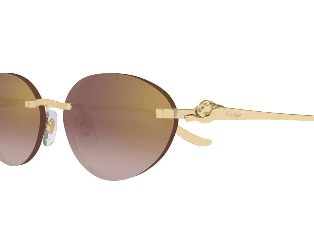Cartier CT0504S