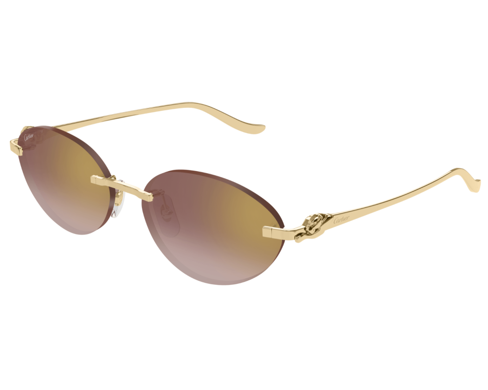 Cartier CT0504S