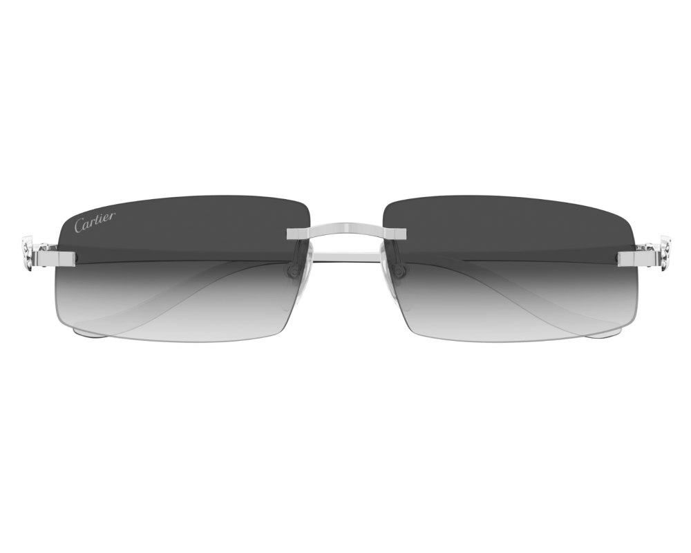 Cartier CT0505S Argent