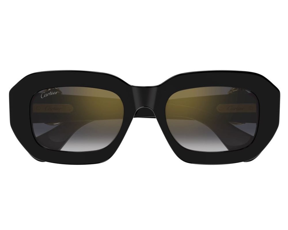 Cartier CT0546S