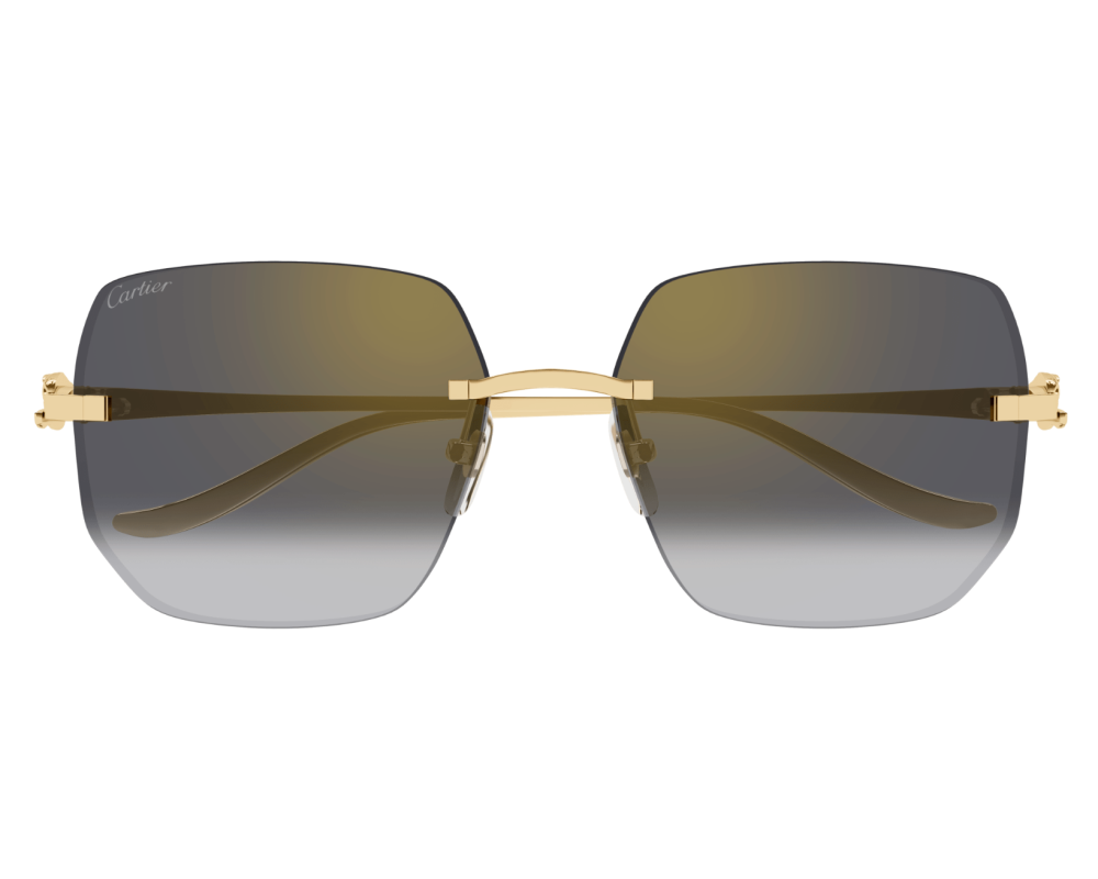 Cartier CT0549S
