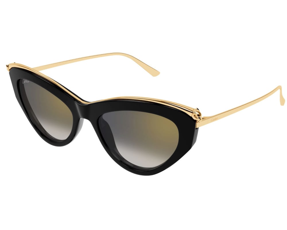 Cartier CT0596S Noir