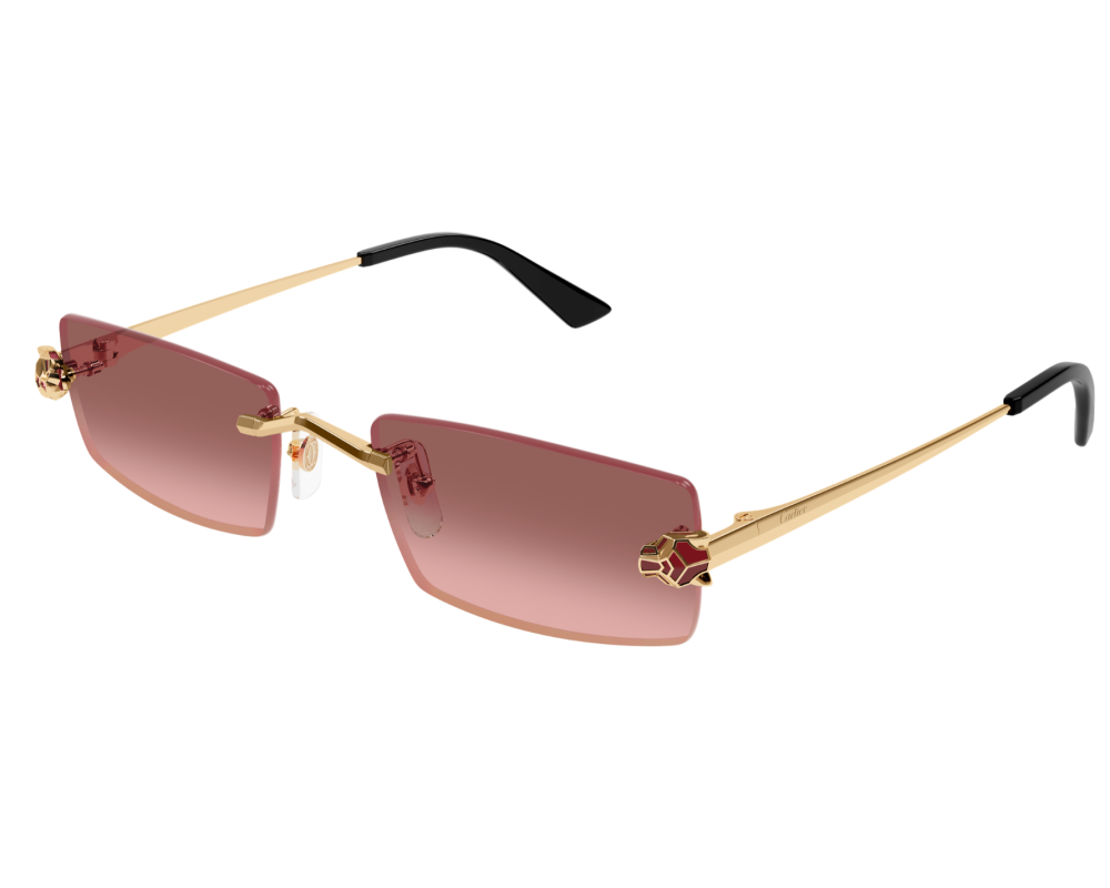 Cartier CT0598S