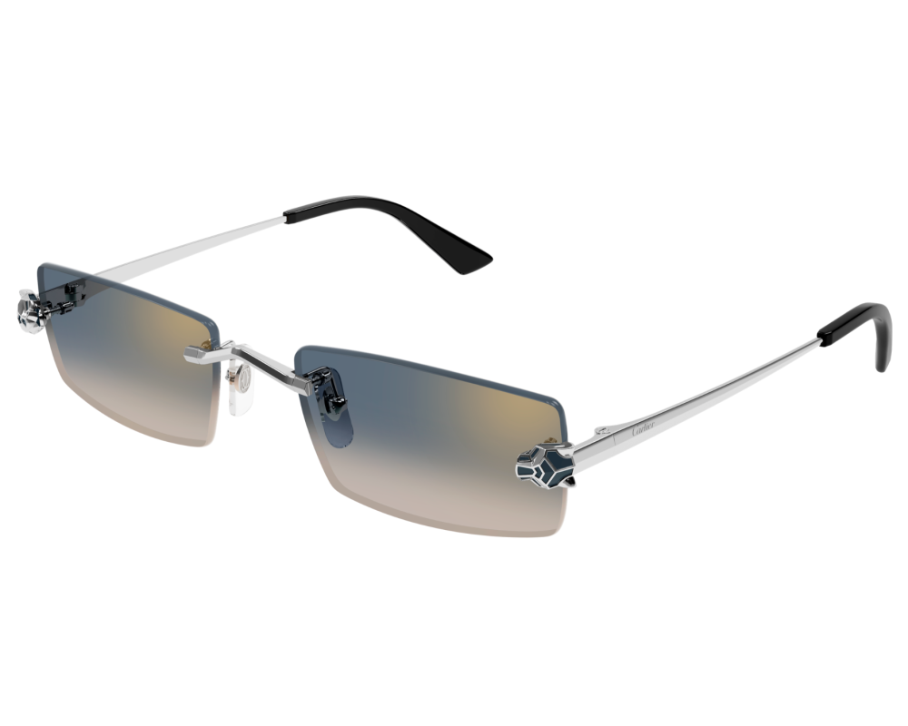 Cartier CT0598S