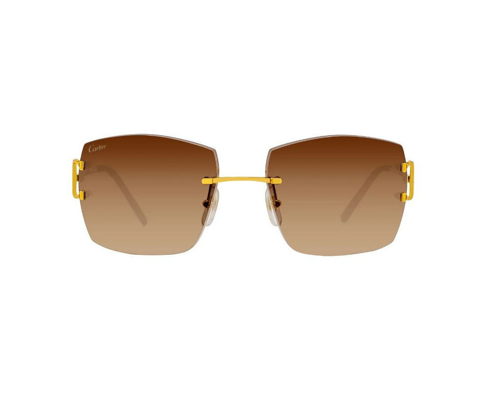 Cartier CT0009RS