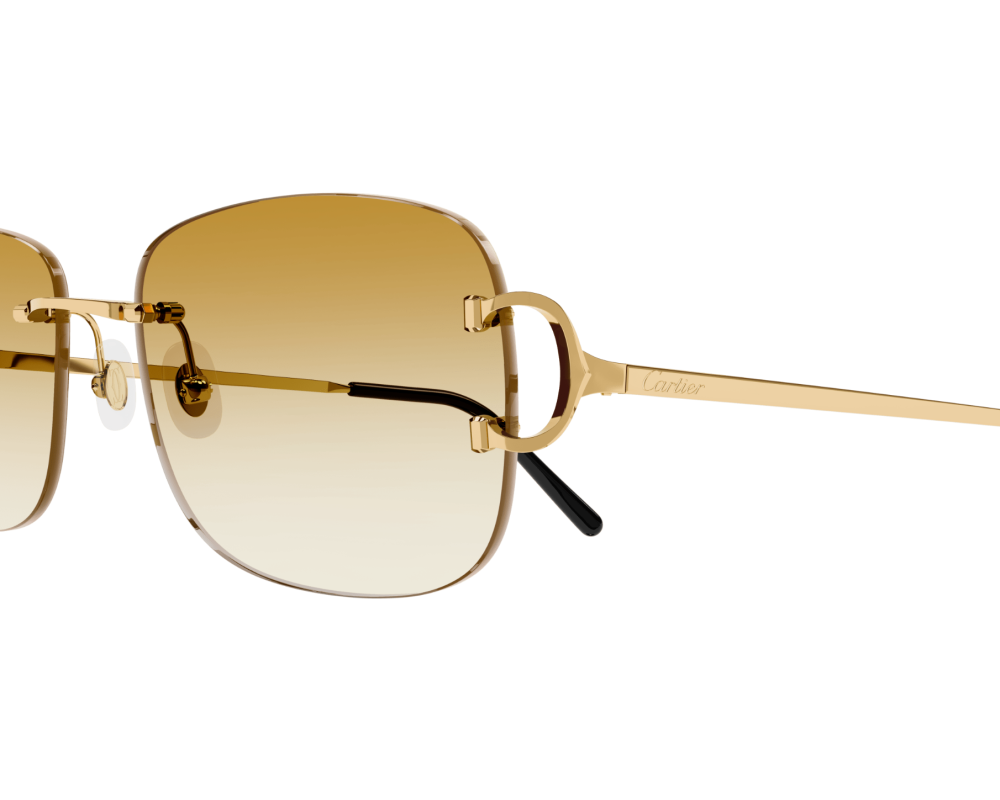 Cartier CT0011RS