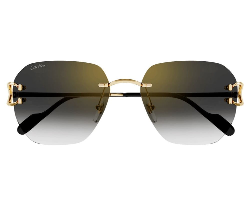 Cartier CT0394S