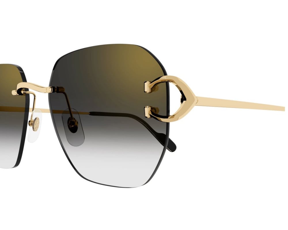 Cartier CT0394S