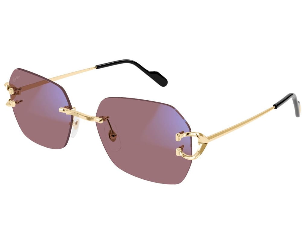 Cartier CT0416S