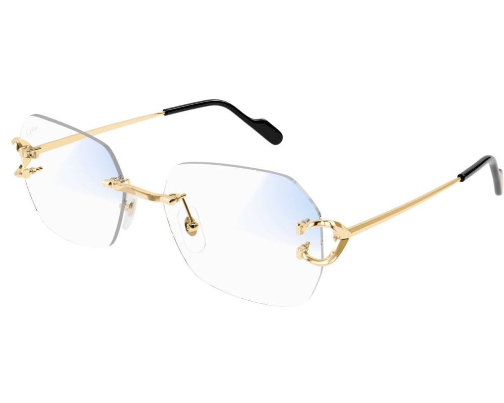 Cartier CT0416S